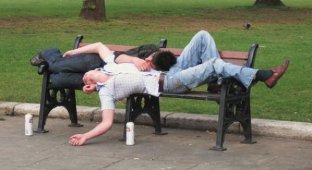 О влиянии алкоголя на комфортность парковых скамеек (11 фото)