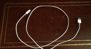 Как сделать витой кабель (6 фото)