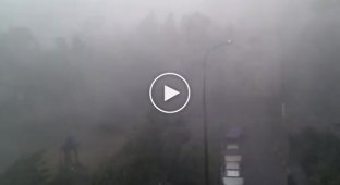 Летний дождик в Москве