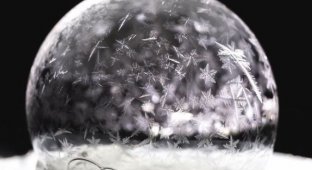 Мыльный пузырь при температуре -15 градусов Цельсия (5 фото)