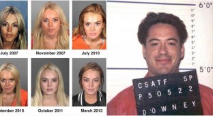 15 знаменитостей, которые часто оказывались под арестом (16 фото)