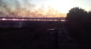 Под Ростовом разразился большой пожар площадью в 1500 кв.м (5 фото + 3 видео)