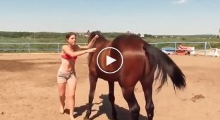 Лошадь помогла девушке забраться к себе на спину