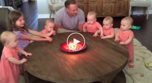 Папа 6 дочек задул свечи на торте. Реакция малышек — невероятно смешно