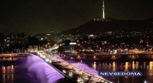 Необычный автомобильный мост в Сеуле (4 фото)