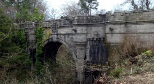 Мост Овертоун в Шотландии: убийца четвероногих (7 фото)