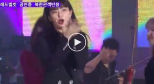 Реакция граждан Северной Кореи на выступление группы Red Velvet