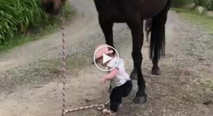 15-месячная девочка уверенно ведет свою лучшую подругу-лошадь по ферме