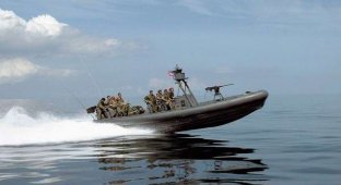 SEAL - спецназ Военно-морских сил США (ВМС США) (27 фото)