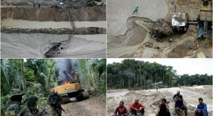Тропический лес Амазонки в Бразилии находится под осадой нелегальных шахт (18 фото)