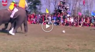 Футбол на слонах