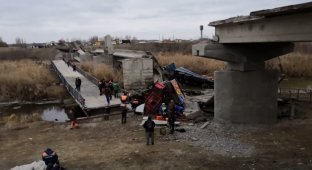 Уже девятый: в Воронежской области под тяжестью двух грузовиков обрушился мост (4 фото + 2 видео)
