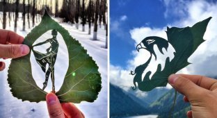 Художник создает невероятные картины из листьев (22 фото)