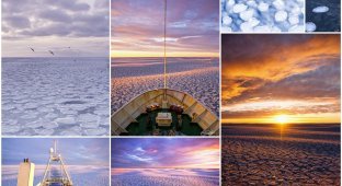 Природные красоты: Исландия во льдах (9 фото)