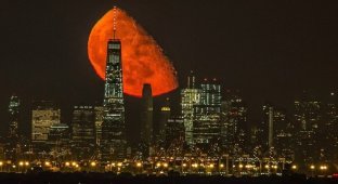 Кроваво-красная луна взошла над Манхэттеном (5 фото)