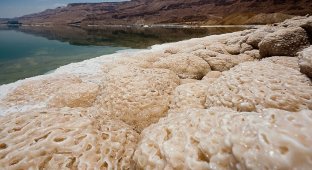 Мертвое море (39 фото)