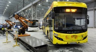 Завод газомоторных автобусов и электробусов Volgabus открыт в Владимирской области (16 фото)
