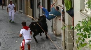 Зритель попал на рога во время забега быков (4 фото + 1 видео)
