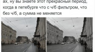 Пятьдесят отнеков серого: в Твиттере не могут найти разницу межу цветным и ч/б фото Петербурга (16 фото)