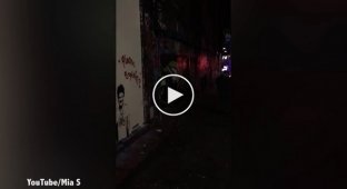В Мельбурне сняли на видео таинственного художника Бэнкси 