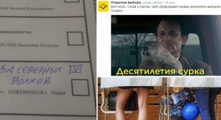 Выборы через призму соцсетей: как это было (30 фото)
