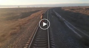 Горбатый железнодорожный работник из Астраханской области