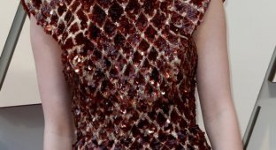 Платье Эммы Стоун "что-то" напоминает (7 фото)