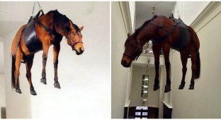 Подвешенная под потолком лошадь в музее Пушкина возмутила россиян (5 фото)