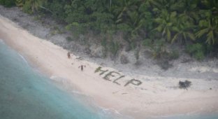 Слово «Help» из пальмовых листьев помогло спасателям обнаружить моряков (4 фото)