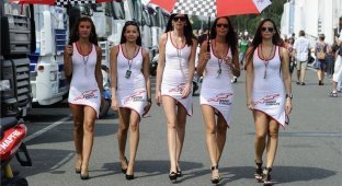 Девушки с Гран-при Чехии Чемпионата мира MotoGP 2011 (53 фото)