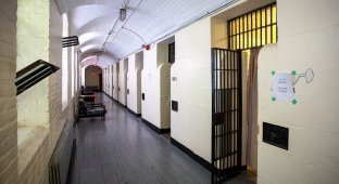 Как я в Канаде провел ночь в тюрьме (19 фото)