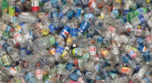 20 фактов о пластике (8 фото)