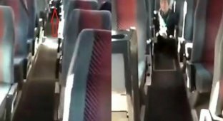 Их нравы: китайская туристка справила нужду прямо в российском туристическом автобусе (2 фото + 2 видео)
