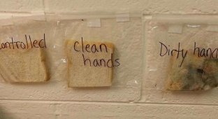 Отвратительно, но эффективно: Как научить детей мыть руки (2 фото)