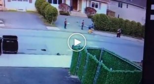 Жестокое нападение бойцовской собаки на трёхлетнего ребенка попало на видео