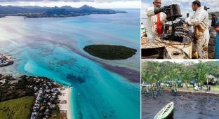 Экологическая катастрофа: японский танкер разлил 1000 тонн нефти у острова Маврикий (27 фото)