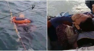 Женщина, пропавшая два года назад, была найдена живой посреди моря (2 фото)