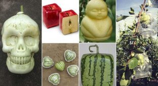 В Китае выращивают дизайнерские овощи и фрукты причудливых форм (15 фото)