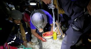 Боливийские шахтеры приносят в жертву злому духу алкоголь, коку, сигареты и лам (13 фото)