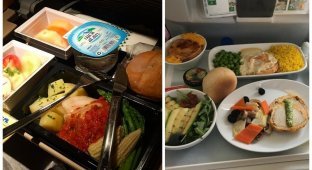 Как выглядит питание на борту самолетов разных авиакомпаний (17 фото)