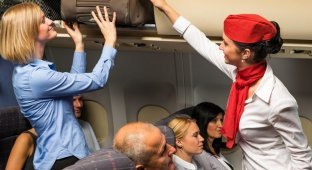 Жена депутата устроила дебош с угрозами прямо на борту самолета (3 фото + 1 видео)