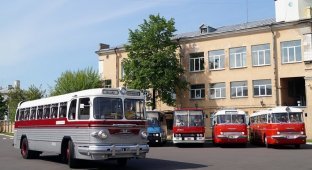 Ретро-автобусы в Санкт-Петербурге (20 фото)