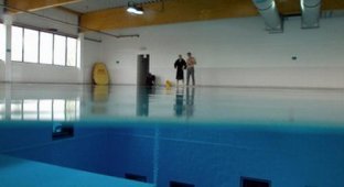 Необычный бассейн (11 фото)