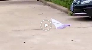 Видеоинструкция. Бумажный самолетик как летучая мышь