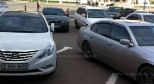 Мастера парковки из Казахстана (40 фото)