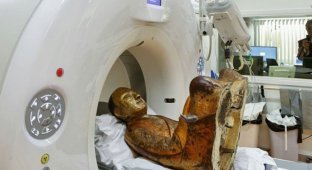 Скульптура возрастом более 1000 лет хранила в себе мумию монаха (4 фото)
