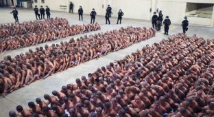 Власти Сальвадора толпами заталкивают заключенных в тюрьмы, игнорируя социальное дистанцирование (8 фото)
