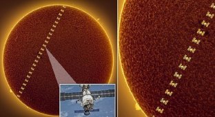 Астрофотограф снял полет МКС на фоне Солнца (7 фото)