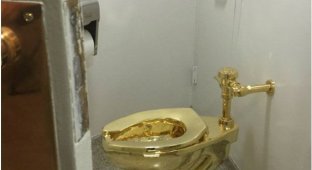 В Нью-Йорке открылся общественный туалет с унитазом из золота 750 пробы (3 фото)