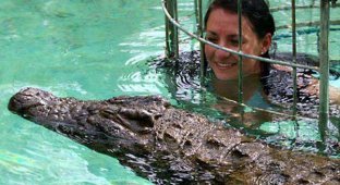 В одном бассейне с крокодилами (4 фото)